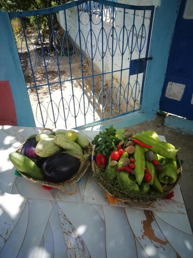 Nefzi Guest House 外观 照片