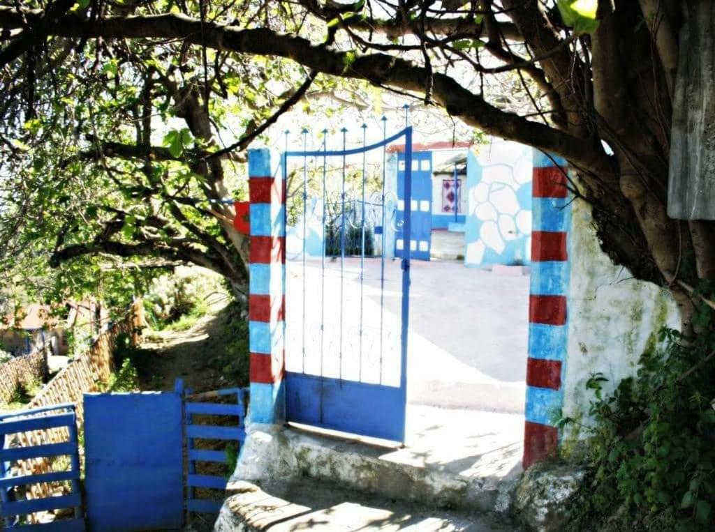 Nefzi Guest House 外观 照片